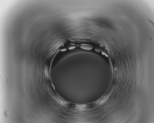 X0000095110143200712141200