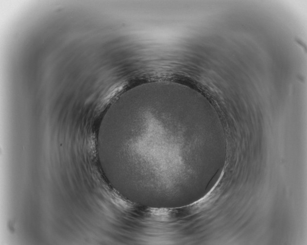 X0000095110144200712141200