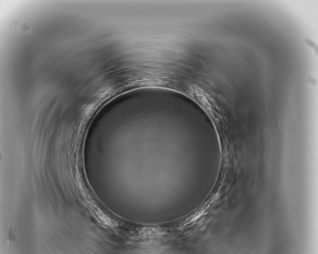 X0000095110145200712141159