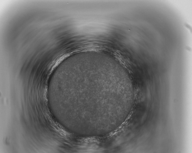 X0000095110146200712141159