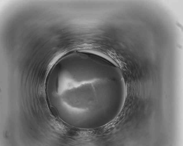 X0000095110147200712141159