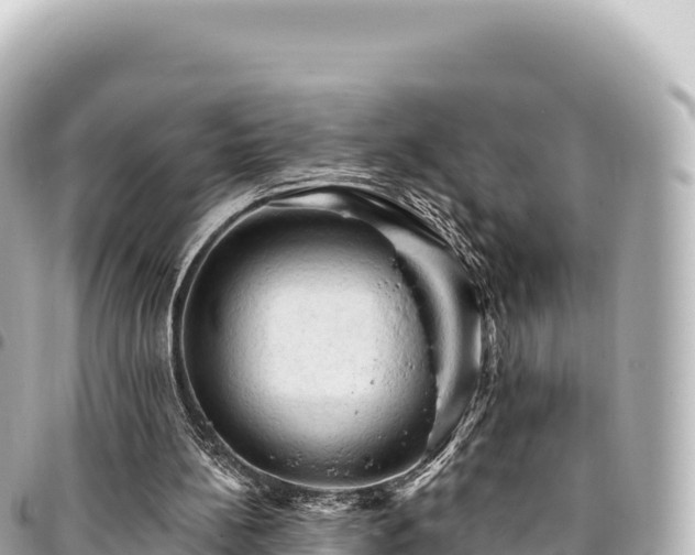 X0000095110148200712141159