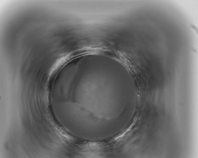 X0000095110149200712141159