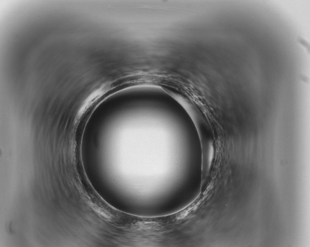 X0000095110150200712141159