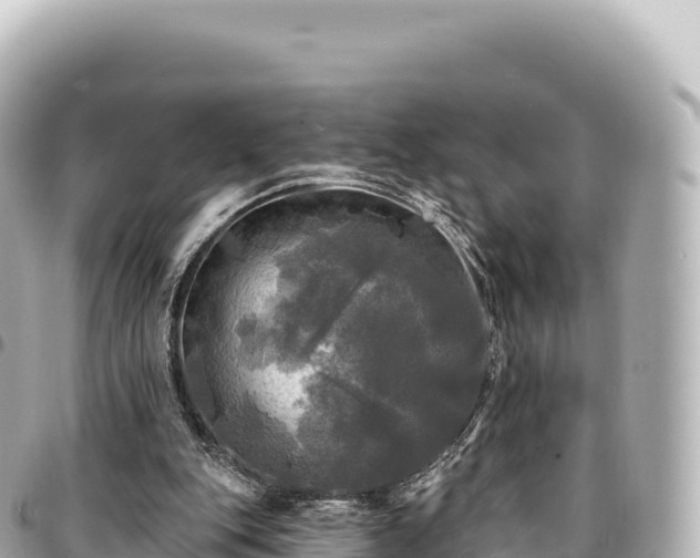 X0000095110151200712141159