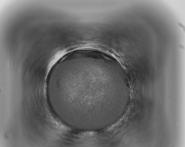 X0000095110152200712141159