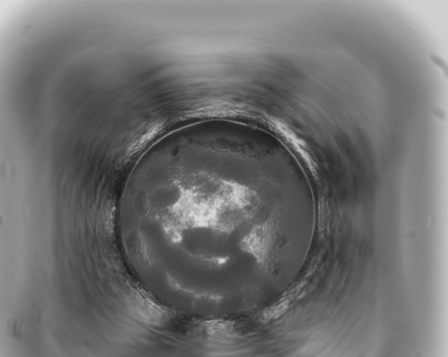 X0000095110153200712141200