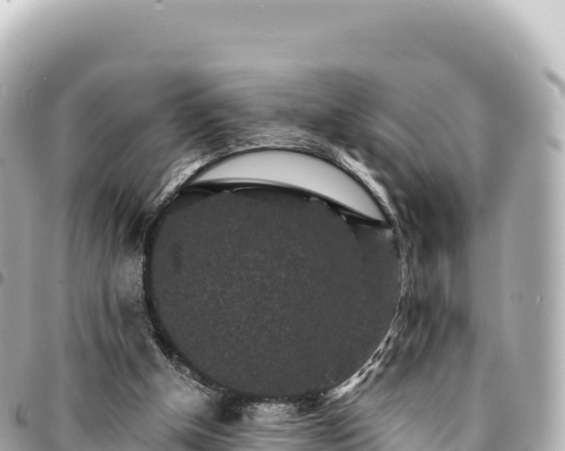 X0000095110154200712141200