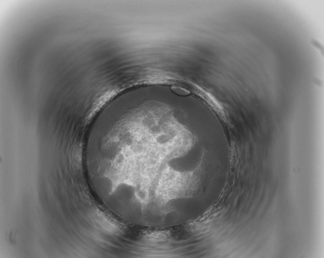 X0000095110155200712141200