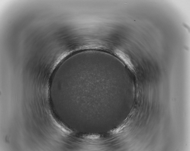 X0000095110156200712141200