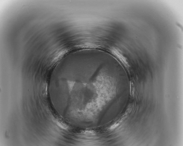 X0000095110157200712141200