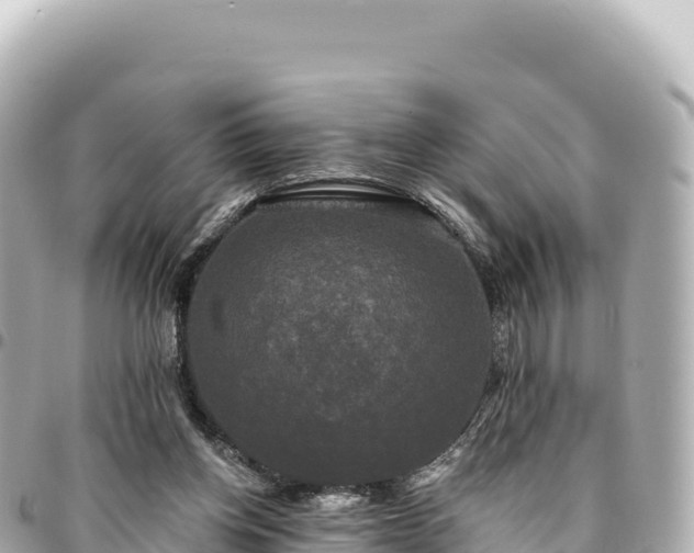 X0000095110158200712141200