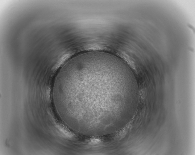 X0000095110159200712141200