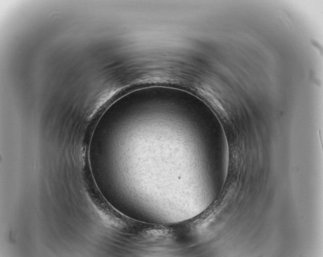 X0000095110160200712141200