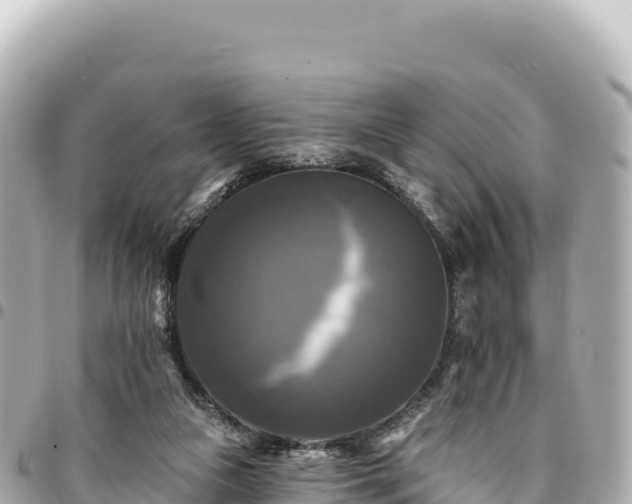 X0000095110161200712141200