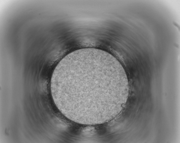 X0000095110162200712141200