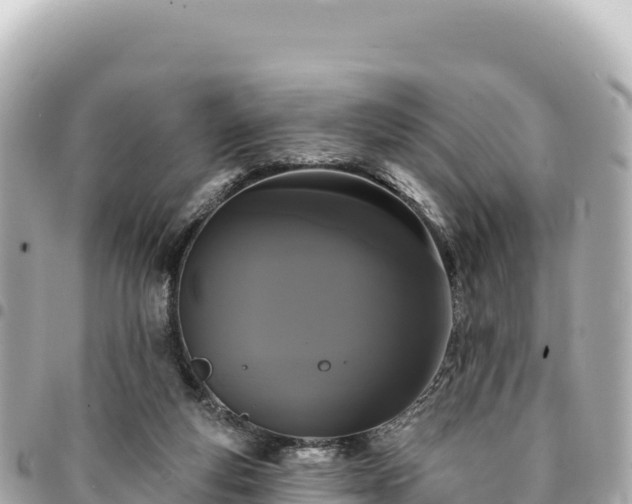 X0000095110163200712141200