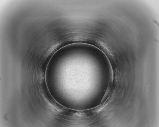 X0000095110164200712141200