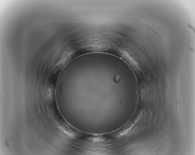 X0000095110165200712141200