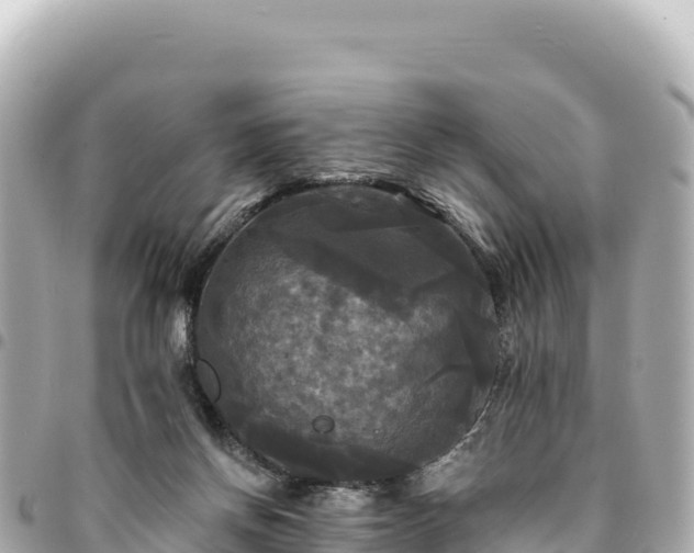 X0000095110166200712141200