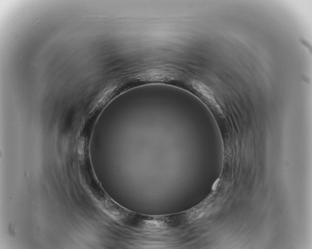 X0000095110167200712141200