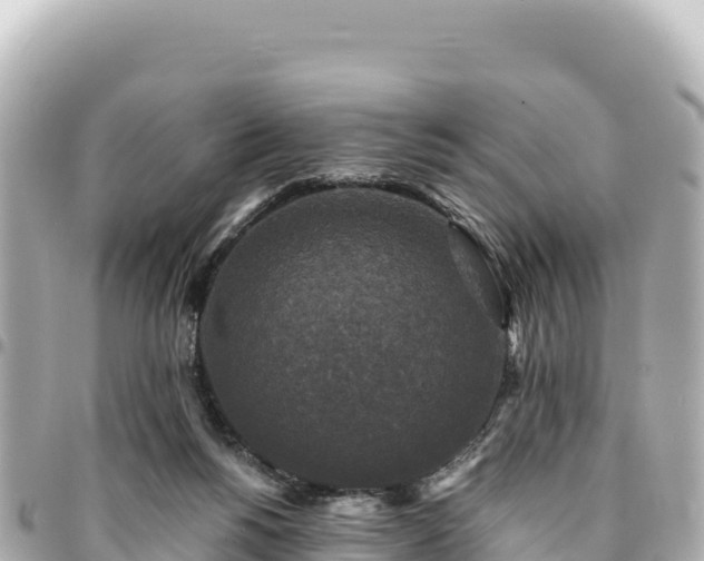 X0000095110168200712141200