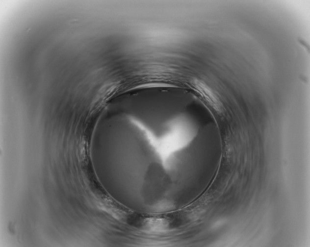 X0000095110169200712141200