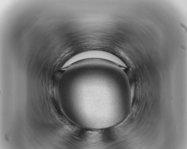 X0000095110170200712141200