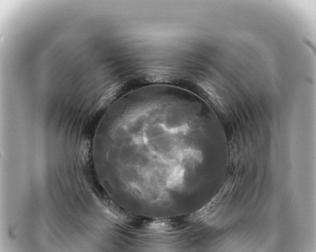 X0000095110171200712141200