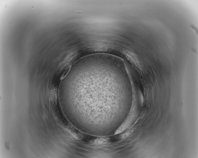 X0000095110172200712141200