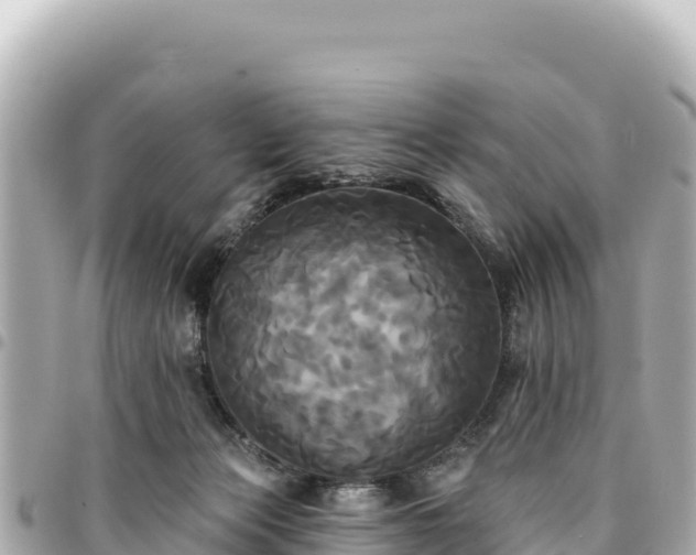 X0000095110173200712141200