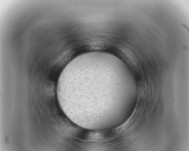 X0000095110174200712141200