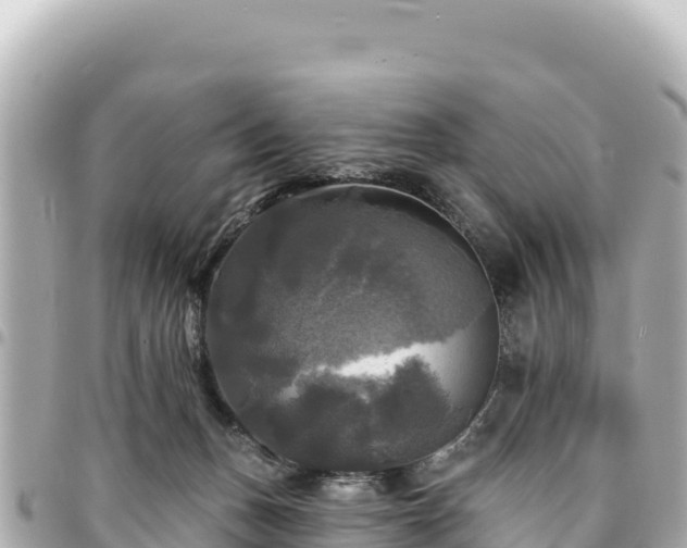 X0000095110175200712141200