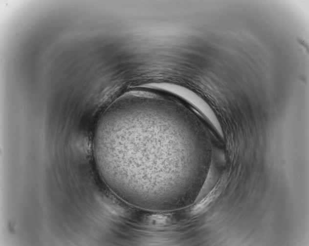 X0000095110176200712141200