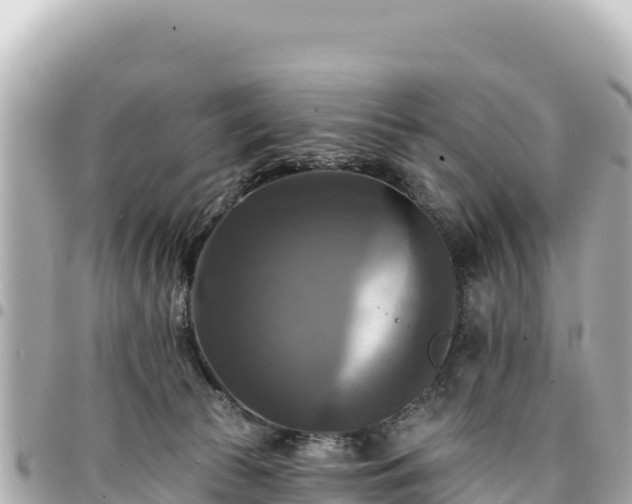 X0000095110177200712141200