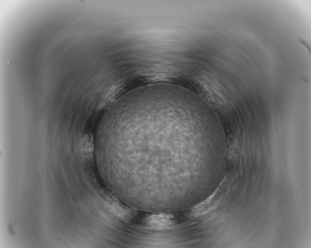 X0000095110179200712141200