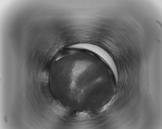 X0000095110180200712141200