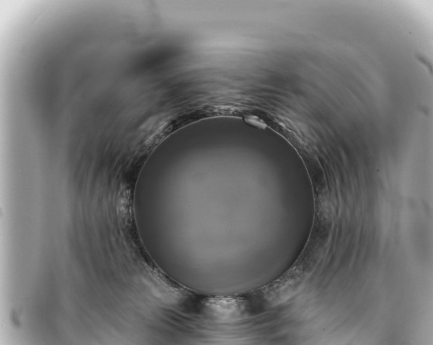 X0000095110181200712141200