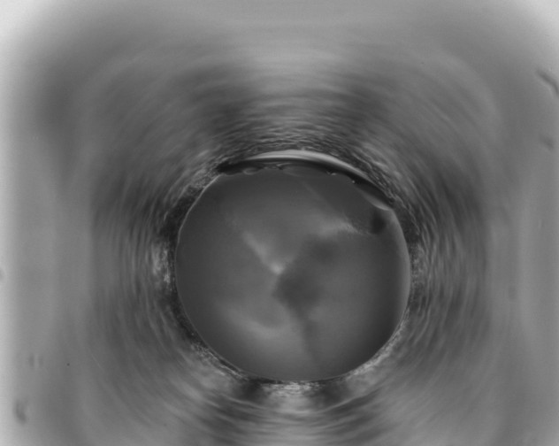 X0000095110182200712141200