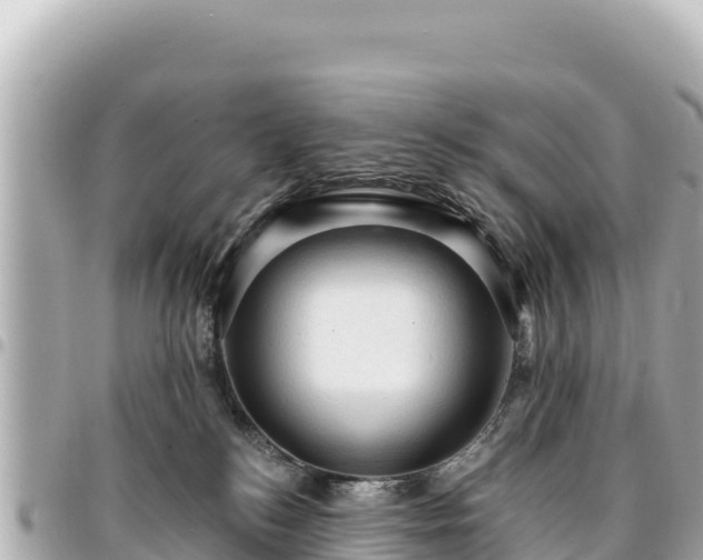 X0000095110184200712141200