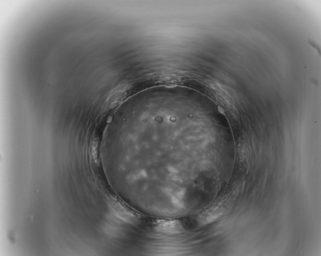 X0000095110185200712141200