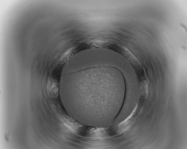 X0000095110186200712141200