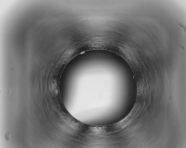 X0000095110187200712141200