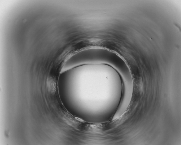 X0000095110188200712141200