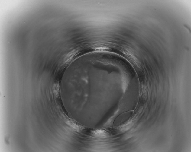 X0000095110189200712141200