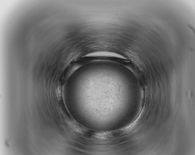 X0000095110190200712141200