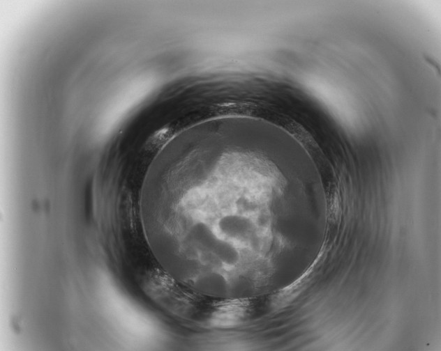 X0000095110191200712141200