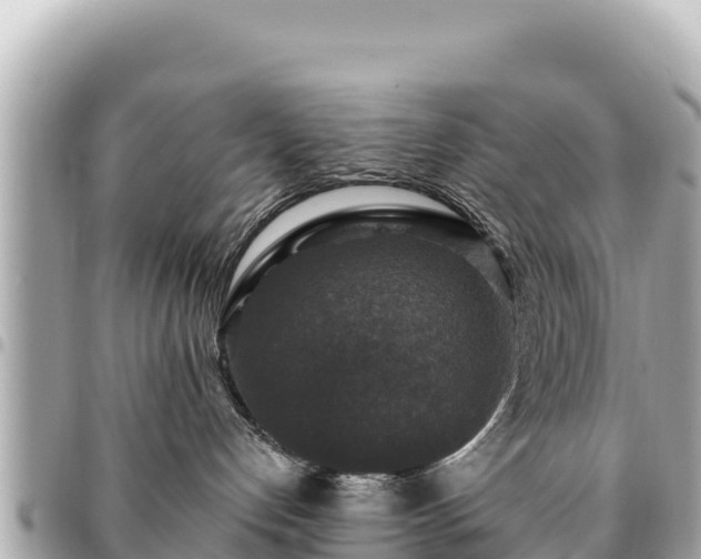 X0000095110192200712141200