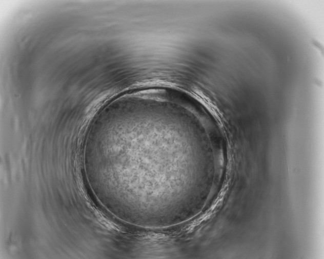 X0000095110193200712141159