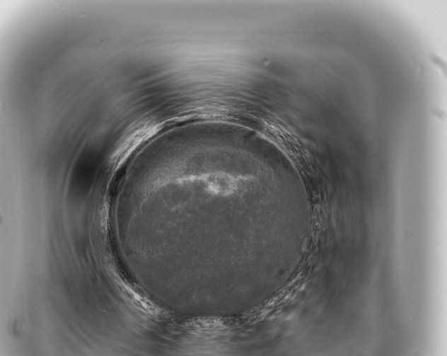 X0000095110194200712141159